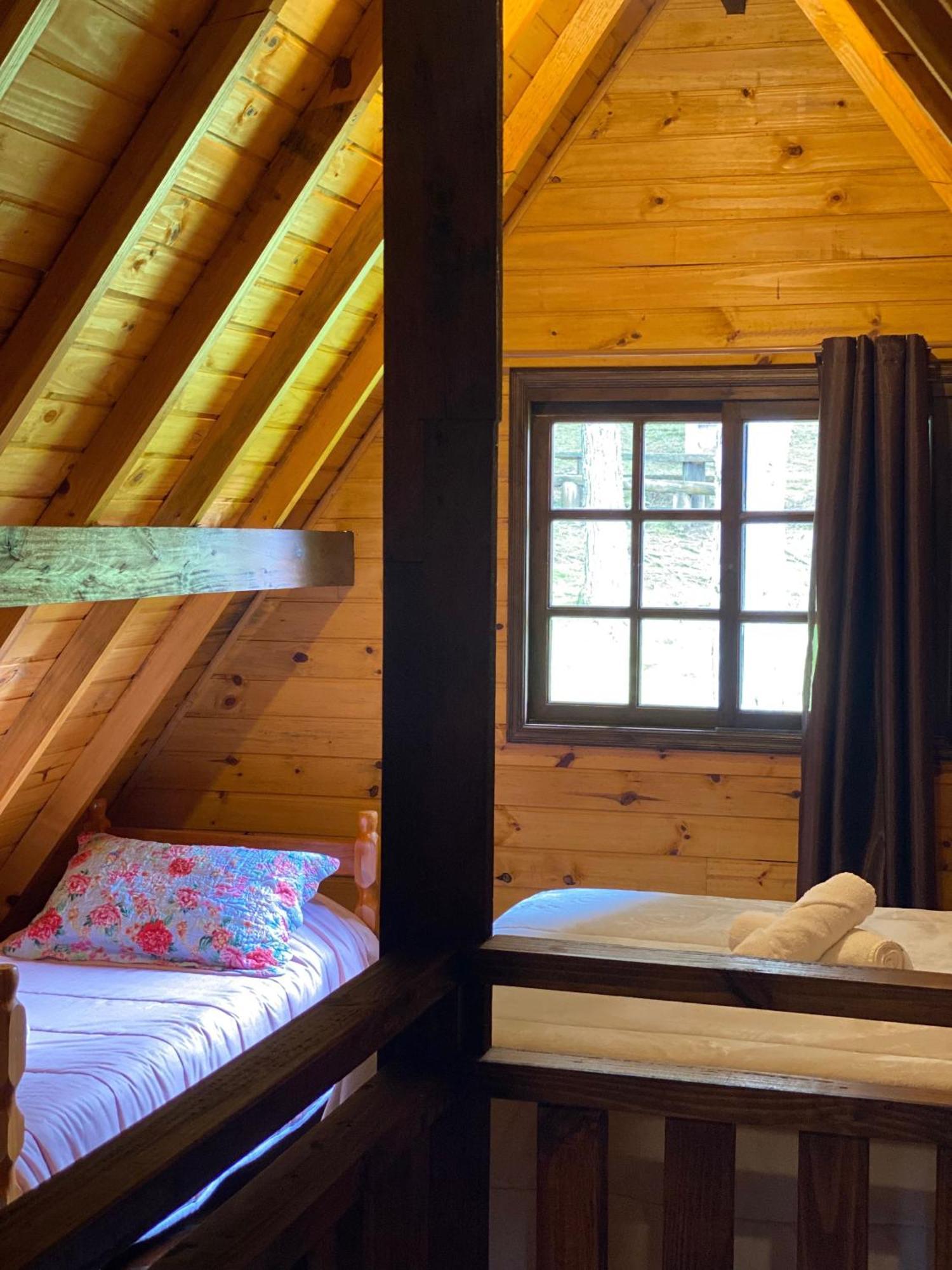 Cabanas Leao Da Tribo De Juda Canela Ngoại thất bức ảnh