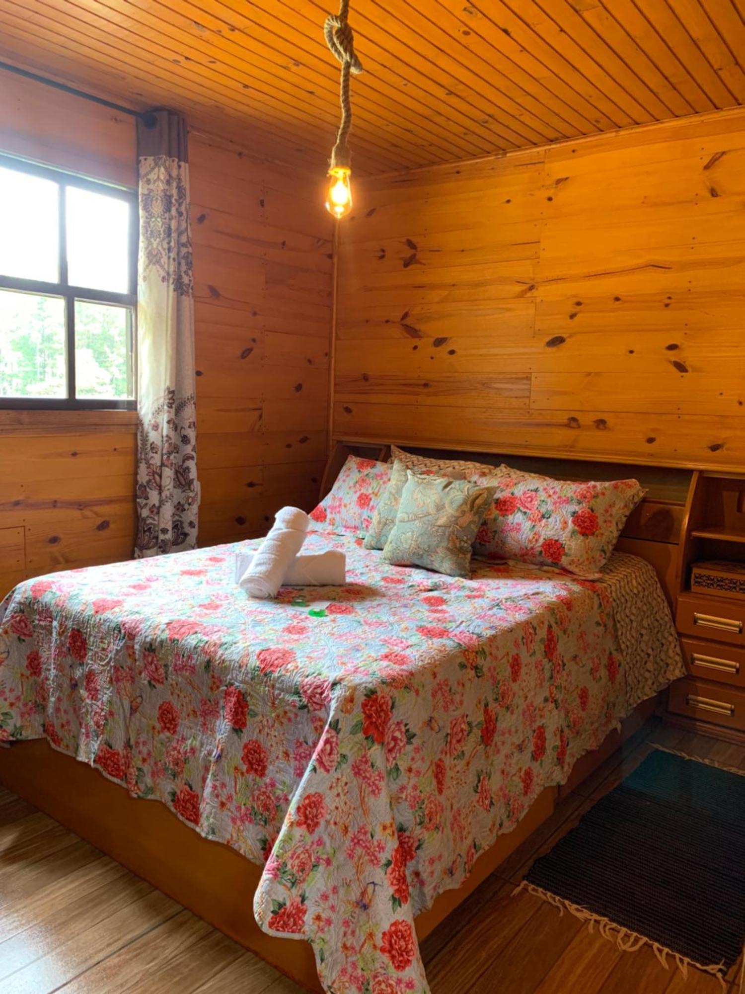 Cabanas Leao Da Tribo De Juda Canela Ngoại thất bức ảnh